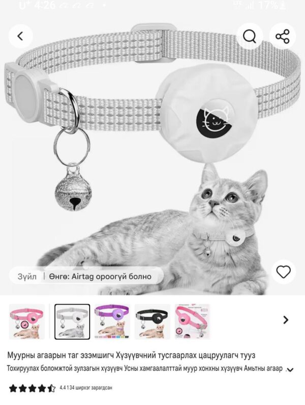 Муурны эйр таг хүзүүвч