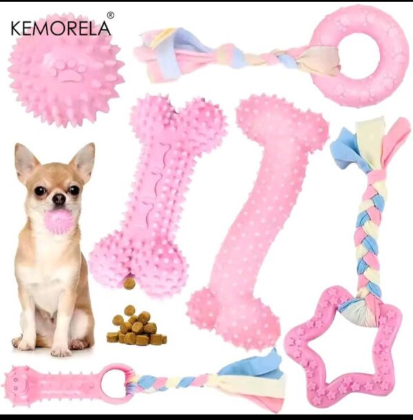 Нохойны тоглоомын багц