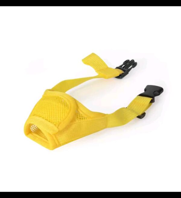 Нохойны амны хаалт